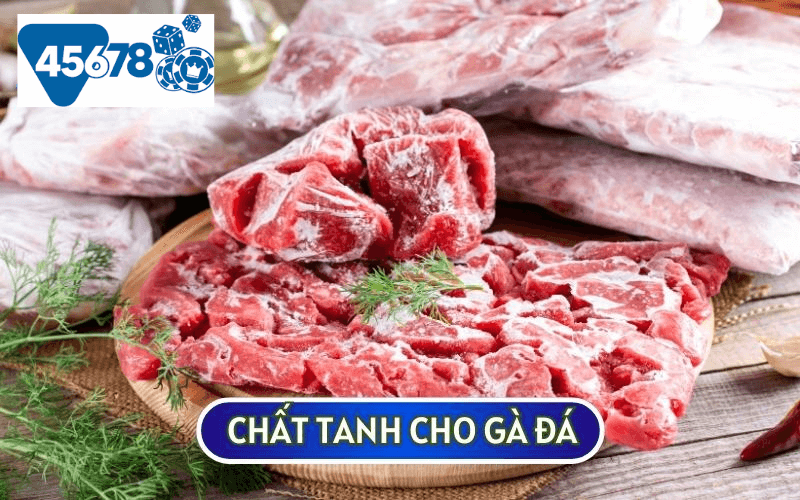 Chất tanh hay còn được biết đến là thịt lợn, thịt bò để tăng sức đề kháng cho GÀ CHIẾN