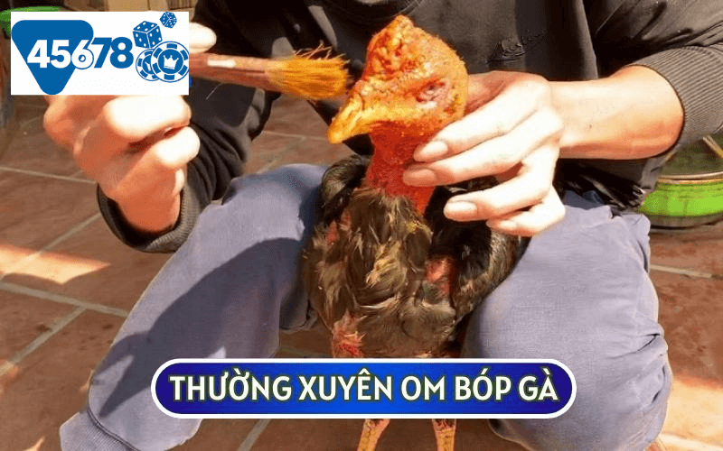 Thường xuyên om bóp gà sẽ theo các phương pháp truyền thống sẽ gà khỏe hơn