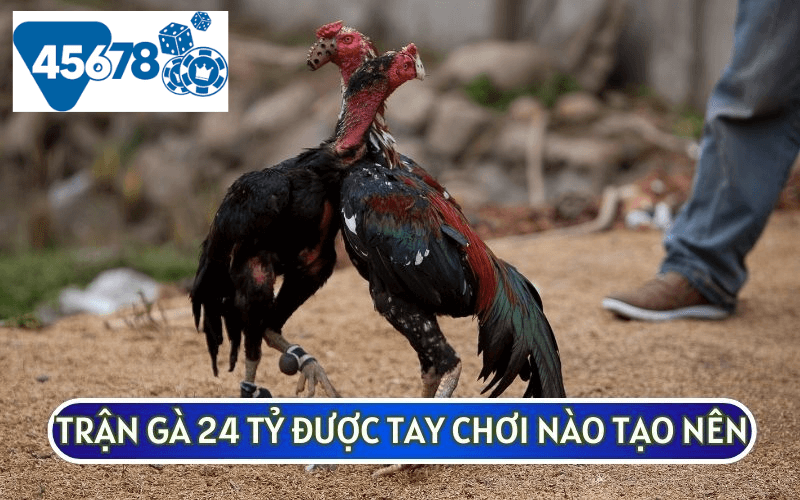 TRẬN GÀ 24 TỶ ĐƯỢC TẠO NÊN BỞI TAY CHƠI NÀO?