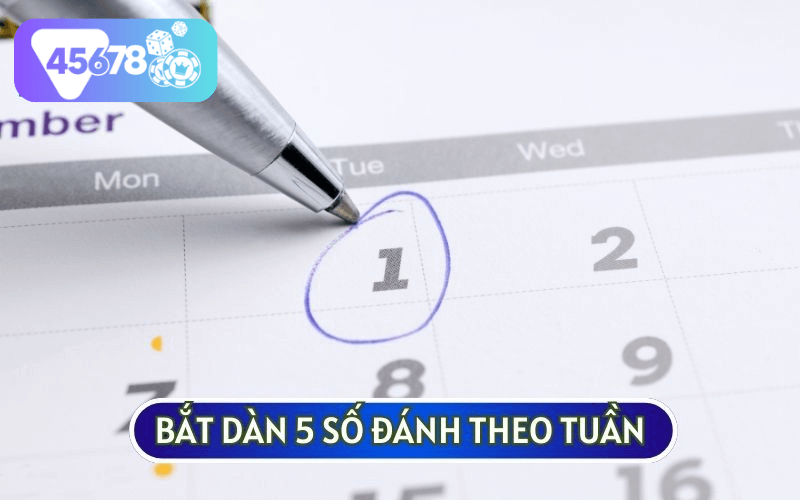 Dàn 5 số đánh theo tuần đòi hỏi bạn phải tính toán thật kỹ lưỡng