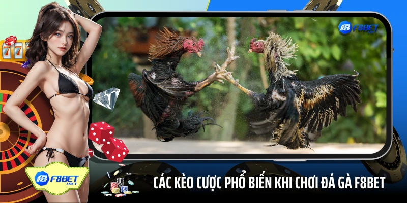 Các kèo cược phổ biến khi chơi đá gà 45678