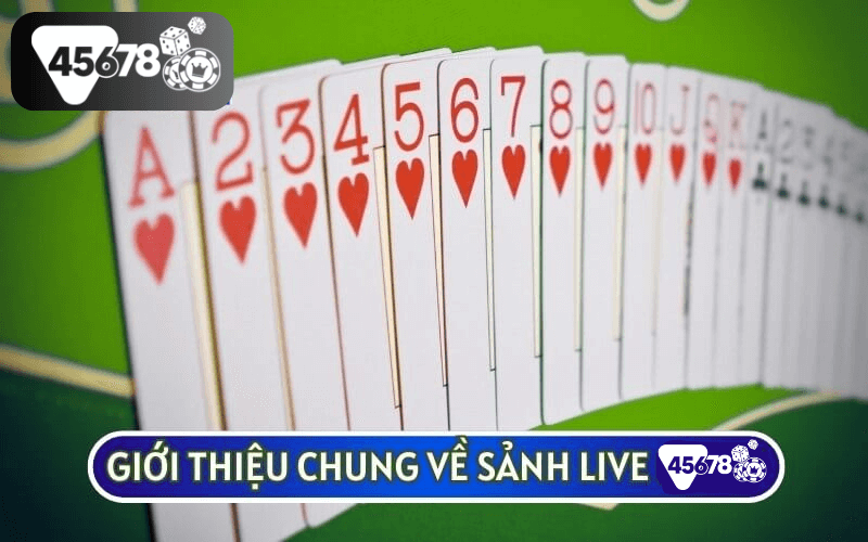 SẢNH LIVE 45678 được biết đến là một trải nghiệm thú vị mà bạn không nên bỏ qua